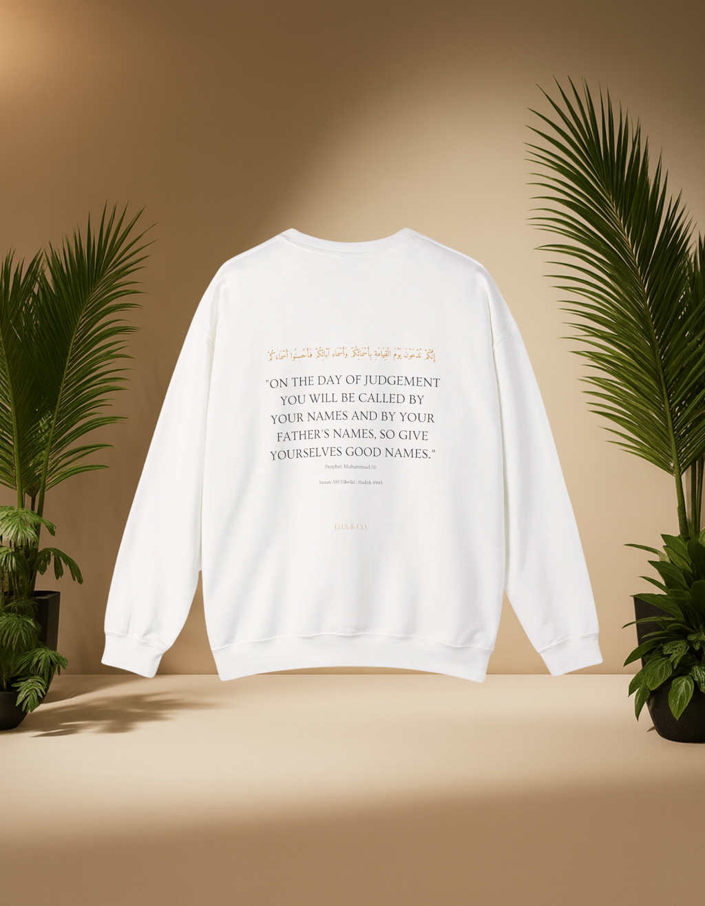 The Meaning of Hafsa