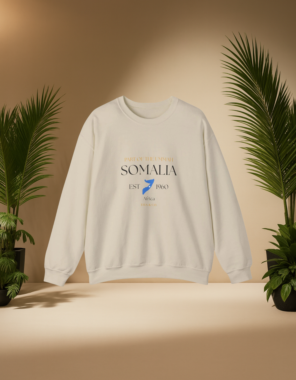 The Unity of Somalia